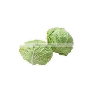 Cabbage Type and Cruciferous Vegetabless Product Type Fresh Cabbage photo-6