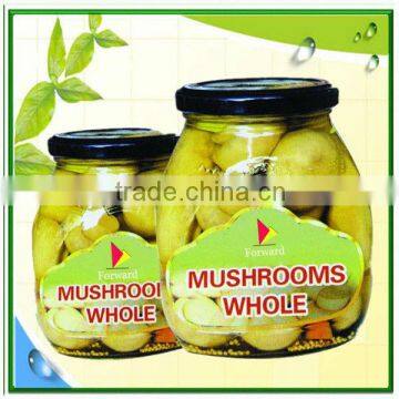 fresh white button mushroom in jar