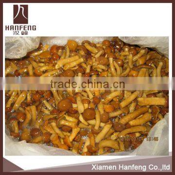 Nameko in brine