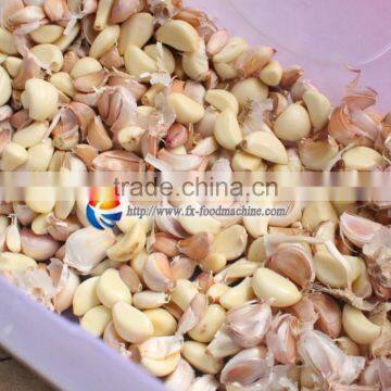 FX-139 Automatic Stainless Steel Garlic Separating Machine,garlic Spiliting Machine ,garlic Breaking Machine photo-6
