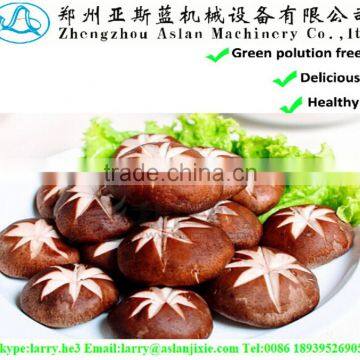 dried champignon/flower dried shiitake mushroom