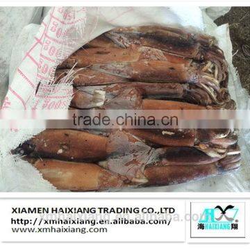 Frozen Argentinus Illex Squid for sale