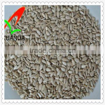 Inner Monglia sunflower seed kernels (bakery)