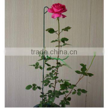 Garden Plant Metal Spiral