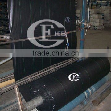 PP fabric roll/pp woven fabric