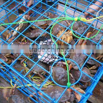 High Quality Round Folding Crab Traps photo-2