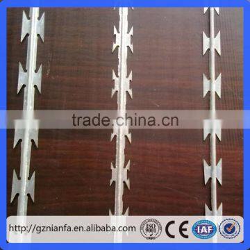 450mm 3 Clips BTO 22 Galvanized Razor Barbed Wire to Philippines(Guangzhou Factory) photo-4