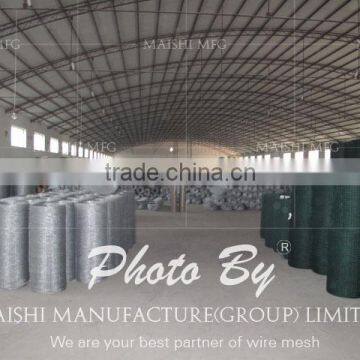 PVC Coated Welded Wire Mesh photo-5