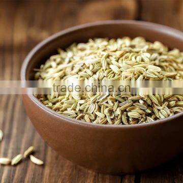 Fennel Seeds photo-3