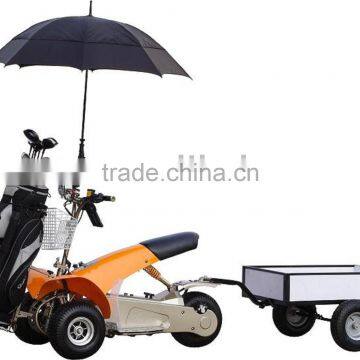 1000W UTILITY GOLF TRIKE SX-E0906-6A