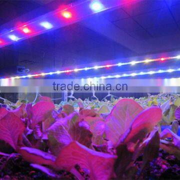 CE ETL listed 60w IP65 waterproof MarsHydro Led grow light bar strip full spectrum for flower vegetables