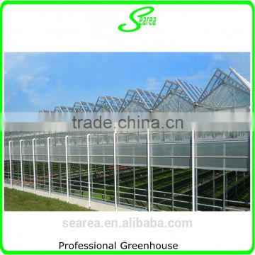 high quality giant greenhouse,flower,plant house/large inflatable membrane structures