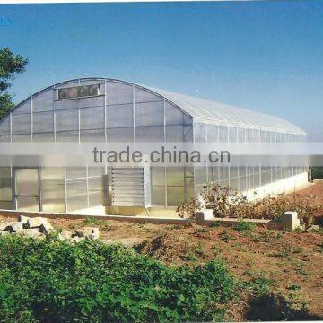 single-span agriculture greenhouse baolida tunnel green house