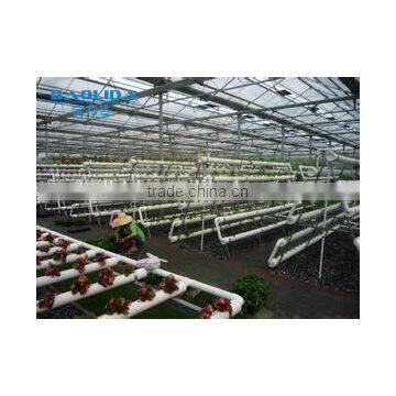 Multi Functional Glass Greenhouse For Hydroponic Greenhouse & Systems photo-2