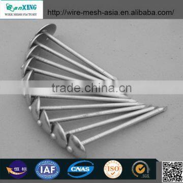 Top quality common wire nails galvanized concrete nails