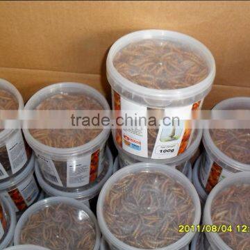 Best Selling Dried Mealworm For Wild Bird photo-3