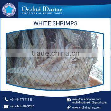 Premium Quality Natural Taste White Shrimps With Long Shelf Life photo-4