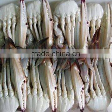 frozen half cut blue swimming crab with reasonable price