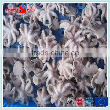 Frozen Baby Otopus IQF Gutted photo-5