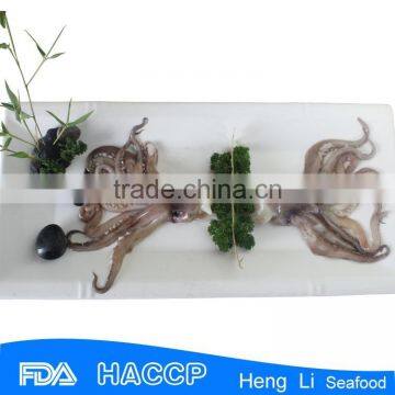 HL0088 Frozen Rings+tentacles photo-4