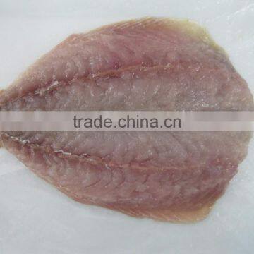 Horse Mackerel photo-2