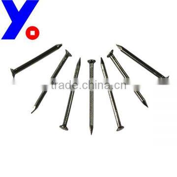 polished iron nail common nail