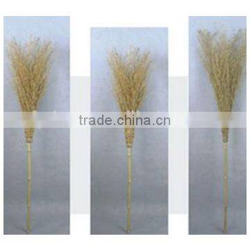 Nature broom, bamboo broom