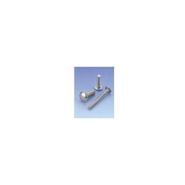 Carriage Bolt DIN603