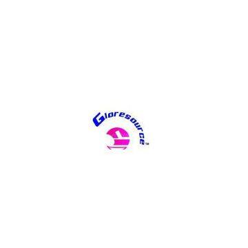 Shanghai Gloresource Magnetic Factory