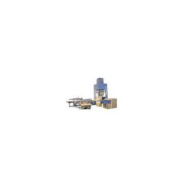 Pillow & cushion automatic weighing & filling line