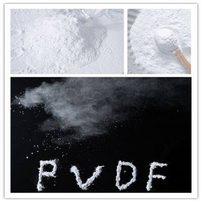 PVDF Micropowder With High Temperature Resistance photo-3