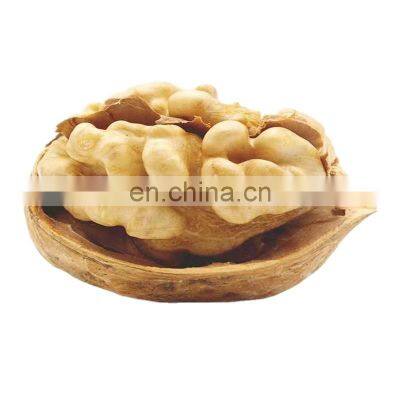 Mango Blanched 2021 Walnut 185 Kernal Kernal Green Walnut With Flavour Seedlingw Indian Squirrel Pecan Walnut Seeds