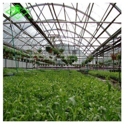 Hot Sale UV-protection Plastic Sheed 3-5 Layers Clear Anti-fog Plastic Film Covering Greenhouse photo-4