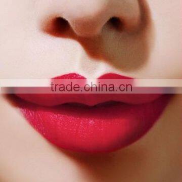 Customize Private Label Herby Lipstick Wholesale Matte Lipstick Brands Label Cosmetics Lipstick photo-4