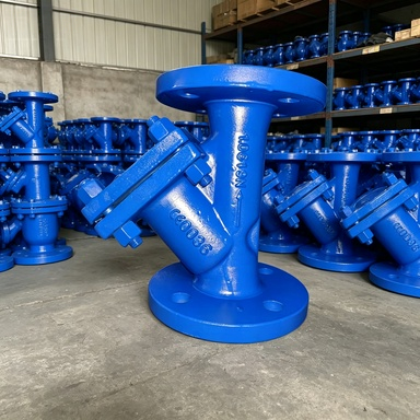 ASTM A216 WCB Marine Cast Steel Flanged Y-Type Strainer for Seawater Systems photo-5