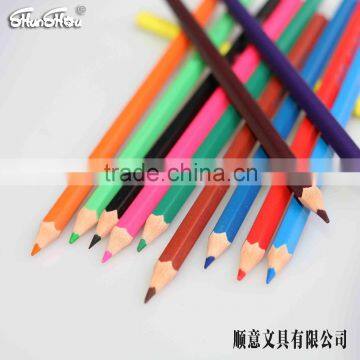 12 Pcs Plastic Color Pencil in Bulk photo-3