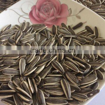 Bulk raw sunflower seeds