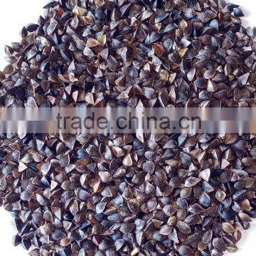 High quality buckwheat