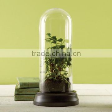 Glass Dome, Decorative Glass Dome, Glass Belljar Dome