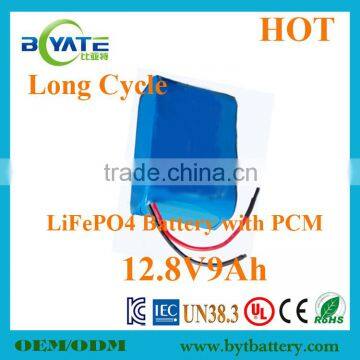 Hot Sell LiFePO4 12V Vacuum Cleaner Battery Factory photo-2