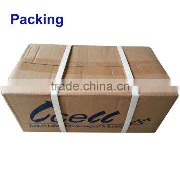 6V180AH(3-D-180) Electric Golf Cart Battery for Deep Cycle Application photo-2