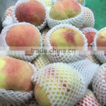 High Quality Soft Foam Net, Strawberry Net Wrappers, PE Foam Flower Bud Protective Netting photo-4