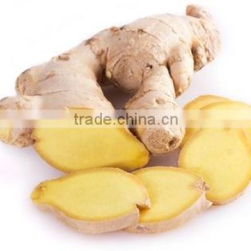 Thai fresh ginger