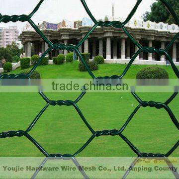 1/2"x1/2" hexagonal wire net