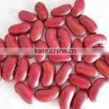 red kidney beans