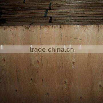 Eucalyptus core veneer for plywood