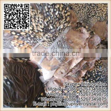 Direct Good Quality Best Natura Jungle Cock For Cheap Sale