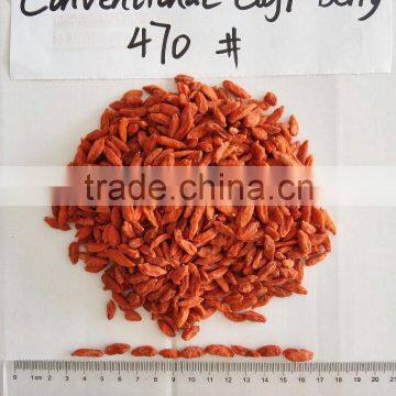 Wolfberry Dry Fruit photo-4