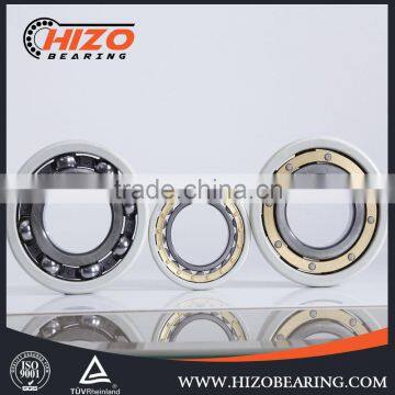 China supplier OEM 6317 deep groove ball bearing electric insulation bearing