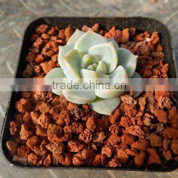 DIY Pearl Beads Mosaic Stones for Floral Arrangement photo-3